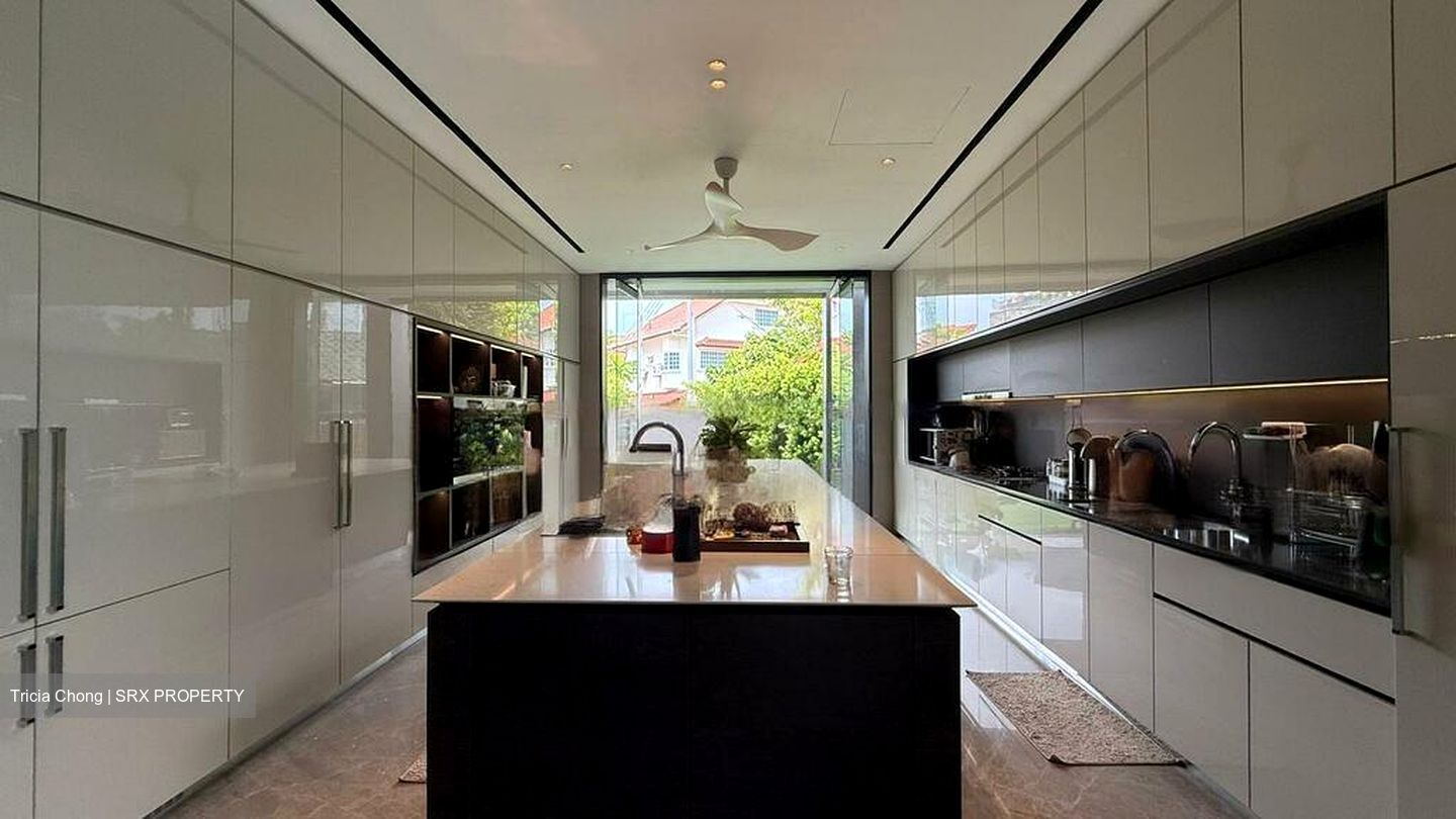 Toh Estate (D17), Detached #476118651